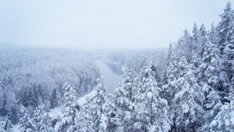Snowy-winter-forest-with-river