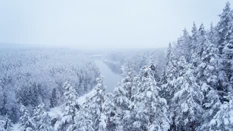 snowy winter forest with river