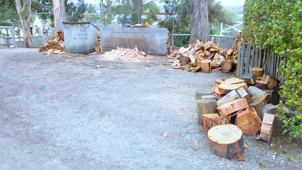 고정 된 카메라로 자연의 낮빛에서 포착 된 쌓인 나무와 초록색으로 평화로운 야외 장면