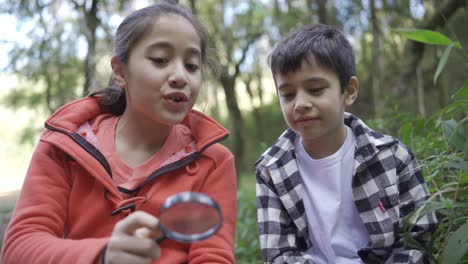 Ethnic-girl-with-magnifier-showing-plant-to-brother-in-woods