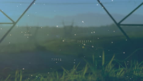 animation of network of connections and changing numbers over close up of green grass