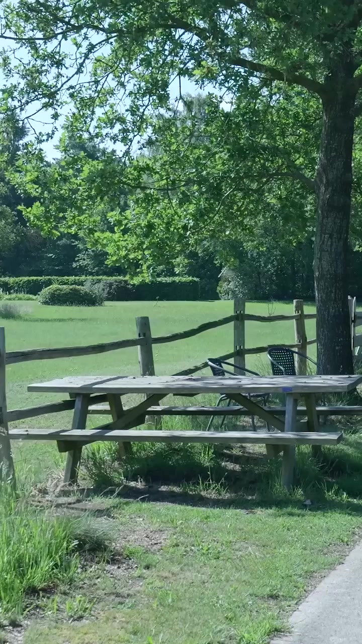 Houten picknicktafel in een zonnig landelijk park