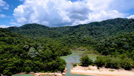 A-tilt-down-shot-of-national-park-at-Penang-Island,-Malaysia-in-day-time-with-white-cloudy-background