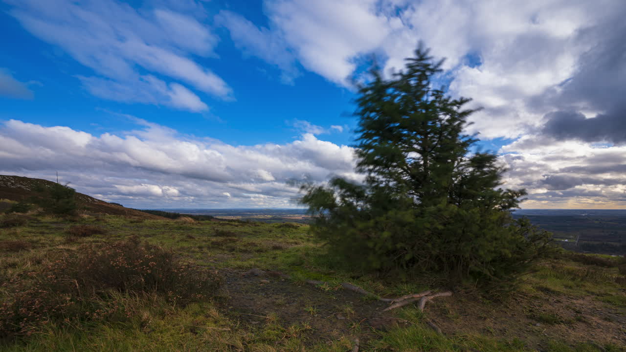 lapso de tiempo del paisaje agrícola rural con un solo árbol conífero con raíces en primer plano y colinas forestales en la distancia durante el día nublado visto desde arriba lough meelagh en el condado de roscommon en irlanda