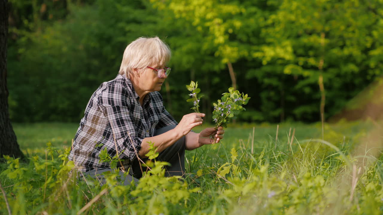공원 에서 꽃 을 검사 하는 고위 여성