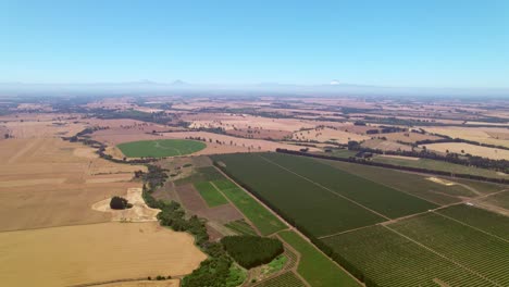 Luftdrohne-über-Chilenischen-Weinbergen,-Malleco-Tal,-Chilenische-Vulkanische-Sandböden,-Weinregion,-Südamerika