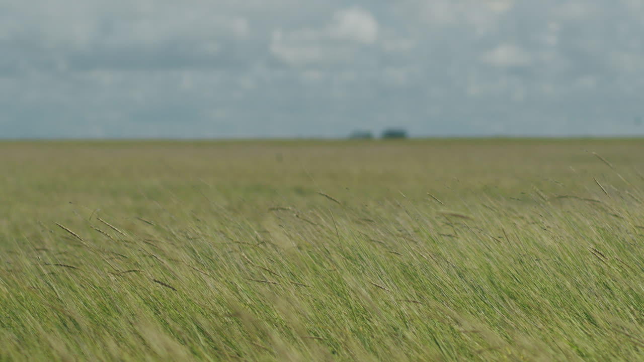 세인트 피터 오딩 근처의 어리 주택 건물의 슈퍼 광범위한