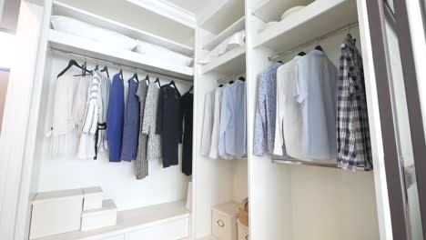 minimalistic walk-in closet idea walkthrough