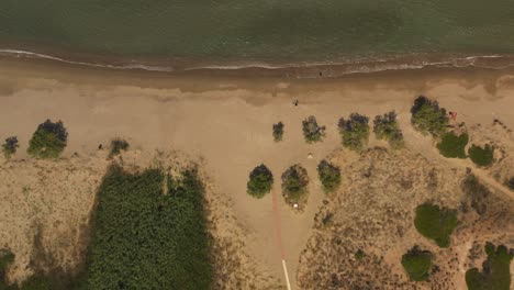 An-aerial-bird's-eye-view-of-a-sand-beach-with-a-few-trees-and-small-waves-splashing,-from-the-island-of-Sifnos