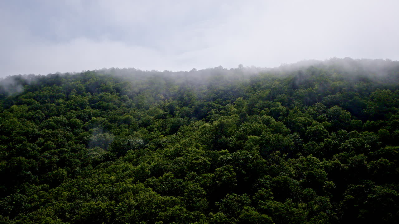 Cinematic aerial glide through misty Appalachian ridges
