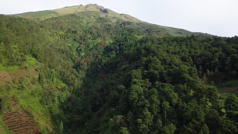 Drone-footage-of-tropical-rain-forest-on-the-slope-of-mountain---Sumbing-Mountain,-Indonesia