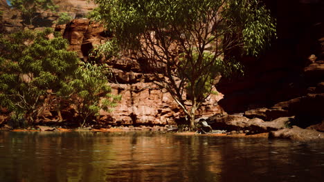 Panoramic-view-of-Colorado-River