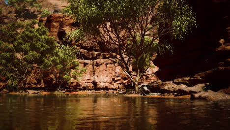 Panoramic view of Colorado River