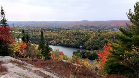 looking down at a lake and the colorful foliage of red green yellow and orange forest