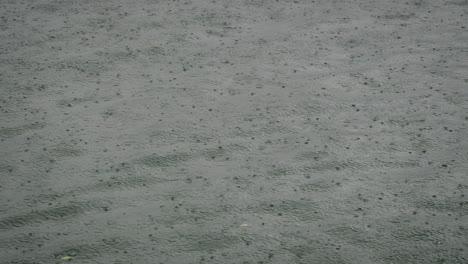 rain falling on the tweed river, northern new south wales, australia