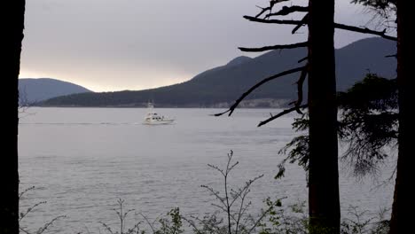 motor yacht cruising in the calm sea in the morning seen from washington park in anacortes, usa