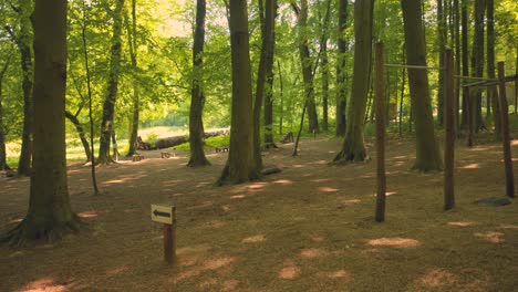 gym equipment installed in the middle of the forest in an external area of park