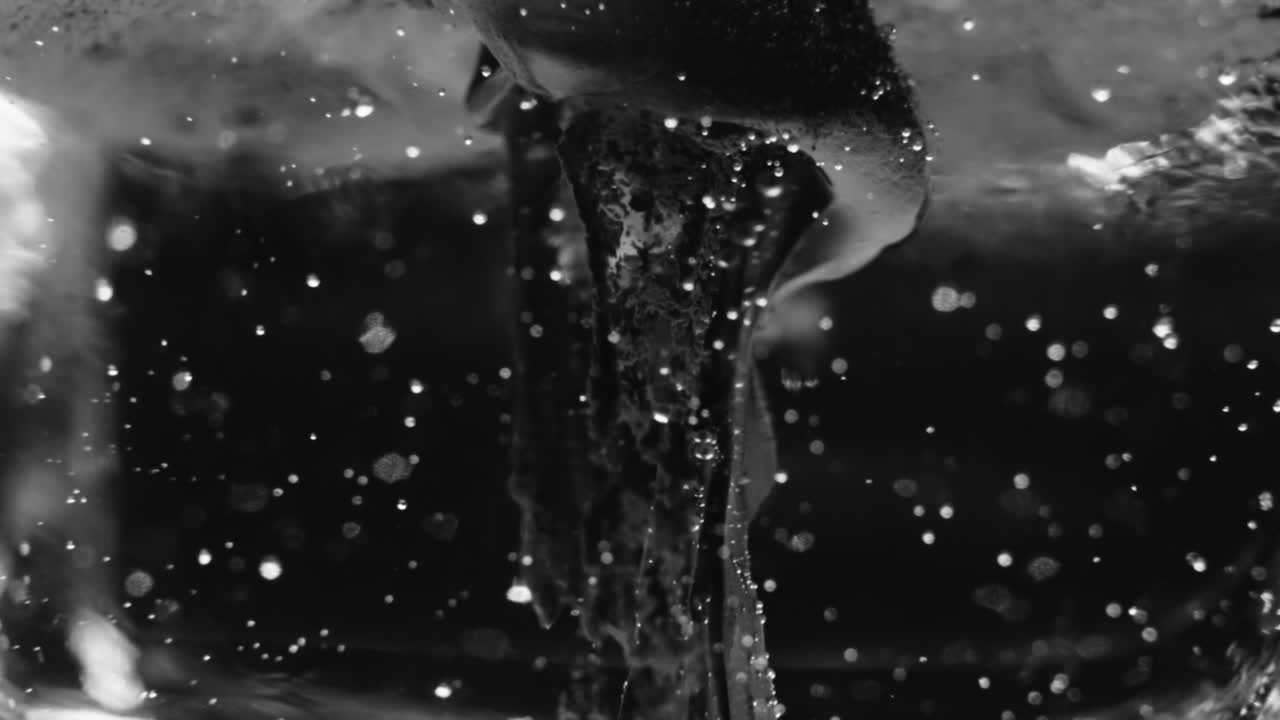 Close-up view of water dripping and freezing