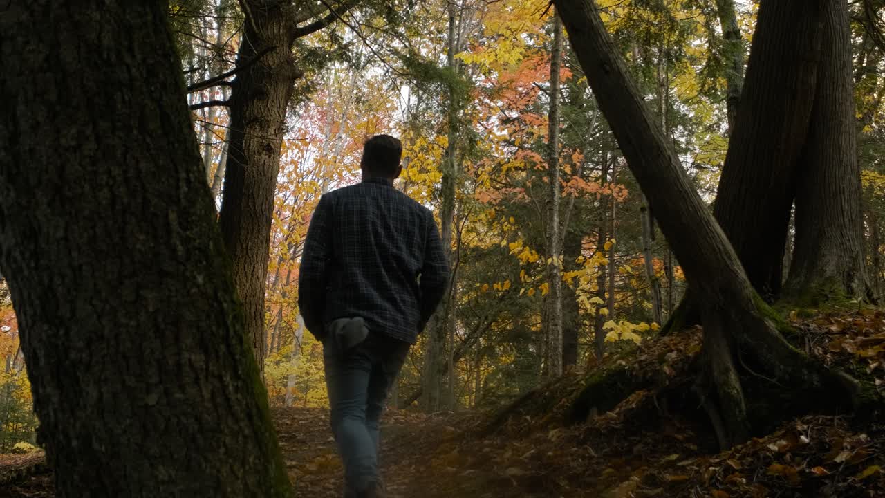 남자는 아름다운 노란 나무에서 흙길을 걷고, 슬로우 모션 핸드헬드 와이드