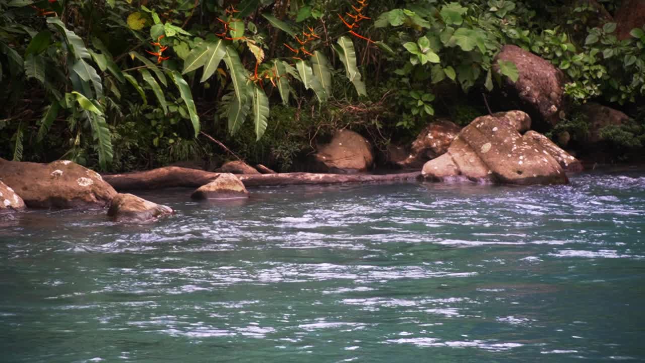 río de color turquesa río celeste costa rica fluye lentamente a través de una selva verde