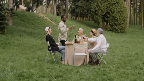 distant view of an man standing in front of a table toasting with his friends at an outdoor party in the park