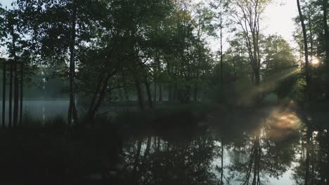 Amanecer-En-Un-Lago-Sereno,-Con-El-Sol-De-La-Mañana-Proyectando-Suaves-Rayos-A-Través-De-La-Niebla-Y-Los-árboles.