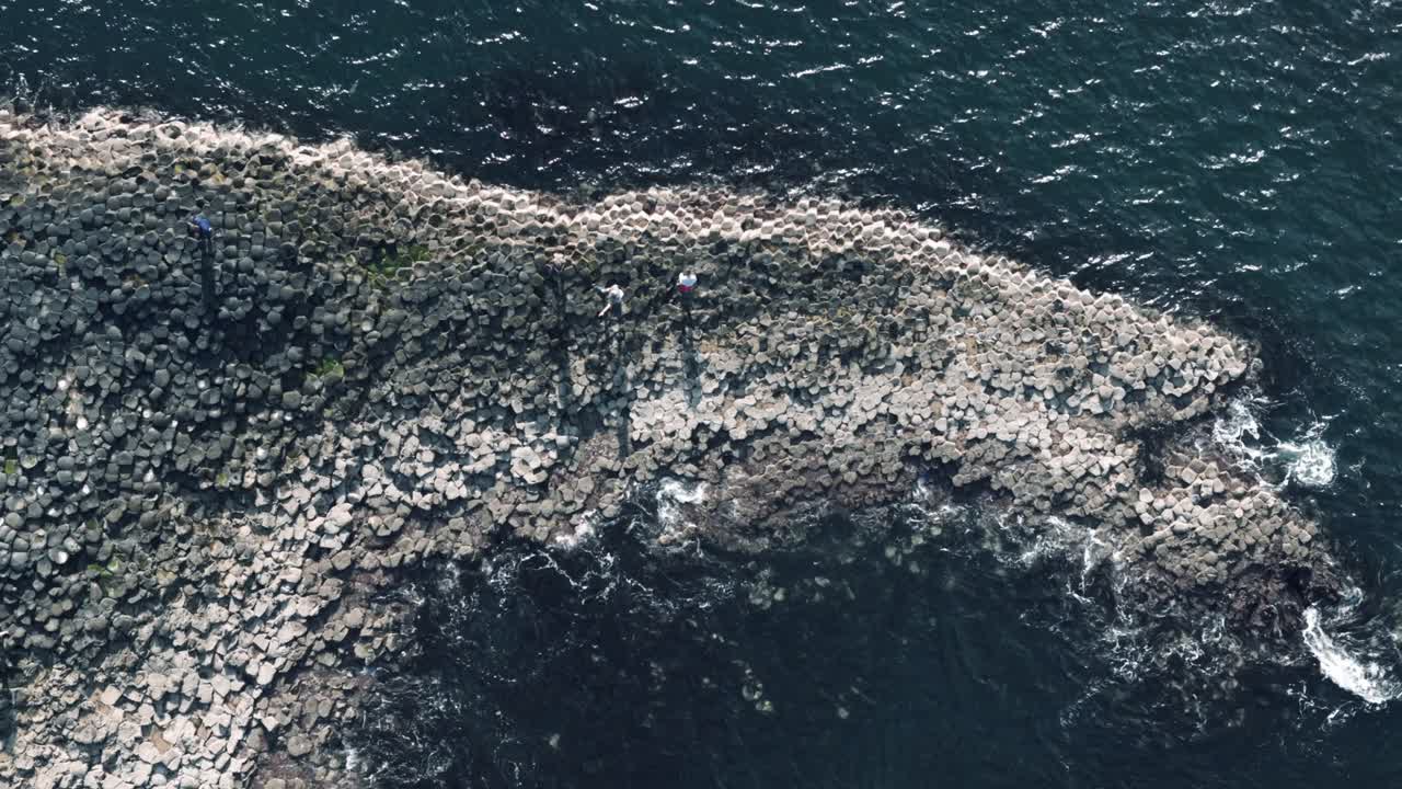 자이언트 도로 에 있는 사람 들 의 새 눈 추적