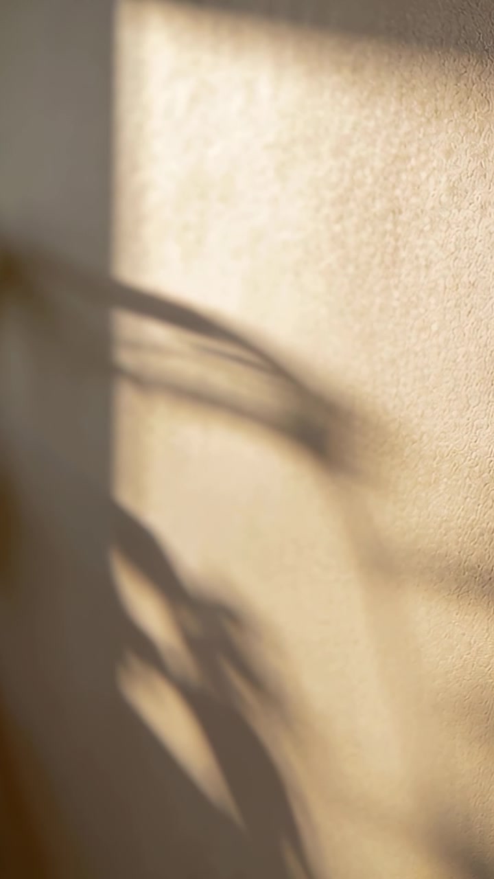 Vertical video: Moving soft leaf shadow across textured wall as window light shifting, copy space