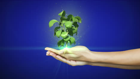 Hands-presenting-digital-green-plant-growing