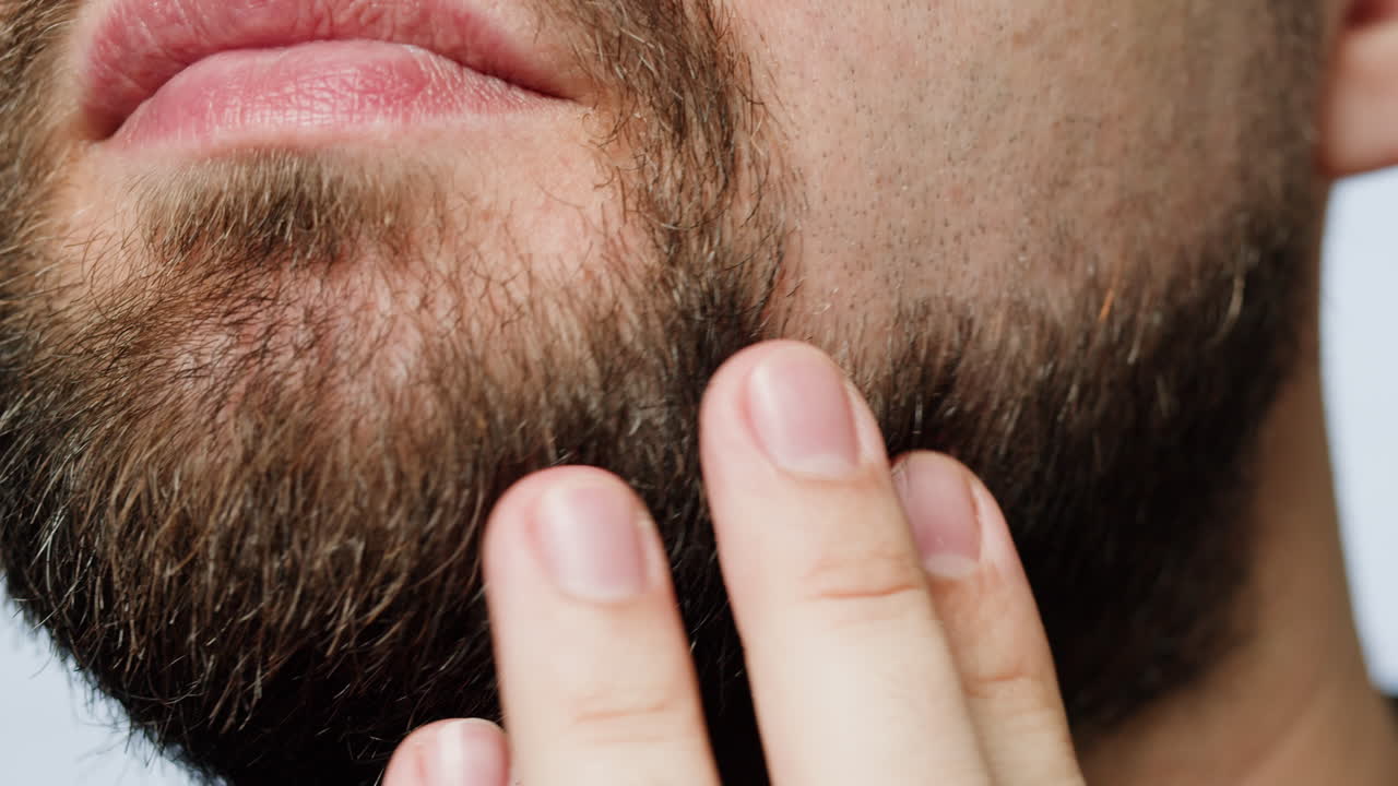 Close-up of a man's face and beard with a hand touching the chin.