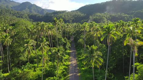 tourist riding scooter inland on tropical island camiguin philippines, forward aerial