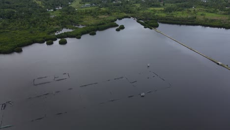 Campo-Húmedo-Aéreo-Agricultura-Regada-En-El-Sudeste-Asiático-Paisaje-De-Temporada-De-Lluvias-Con-Drones