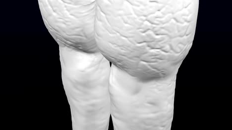 3d woman's legs gain weight and lose weight.