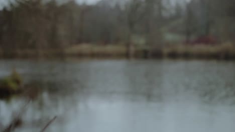 Focus-goes-to-a-frozen-lake-with-a-bridge-and-a-lonely-pier-in-a-winter-atmosphere