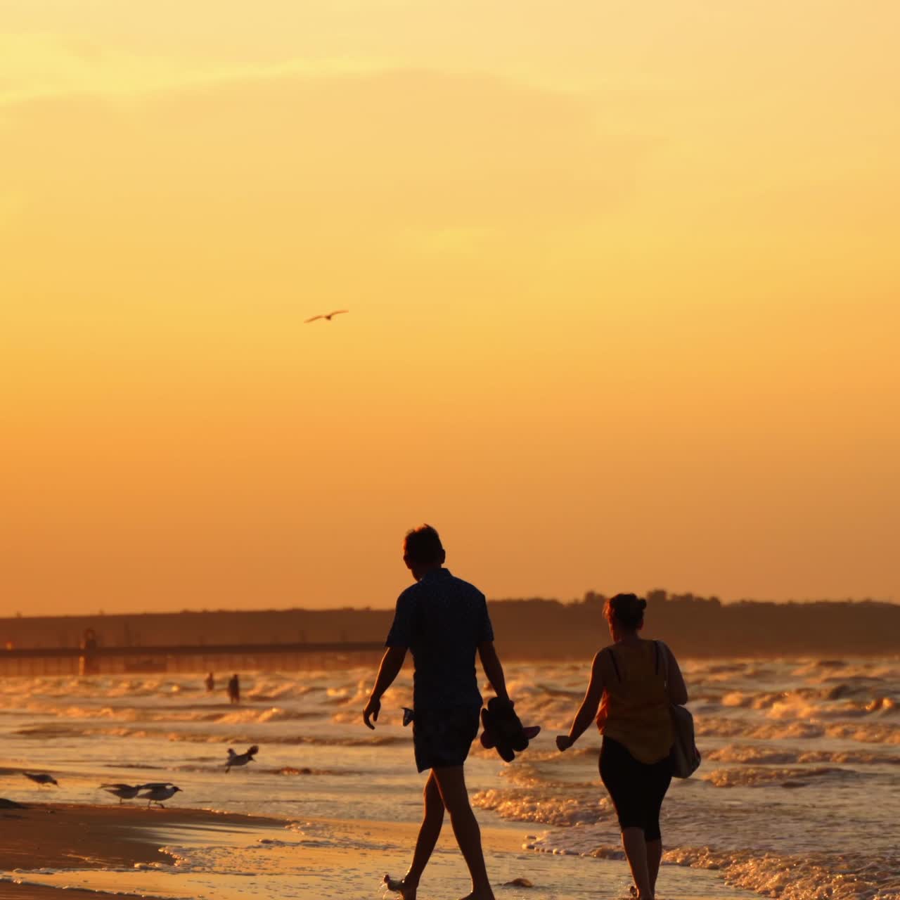 Wavy sea at sunset. People walking near the sea in the evening. Seagulls flying over the seashore in summer.