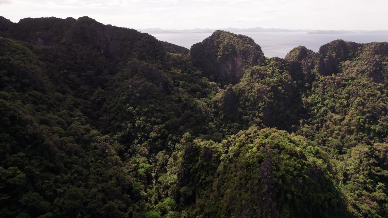 Lush Mountainous Tropical Landscape