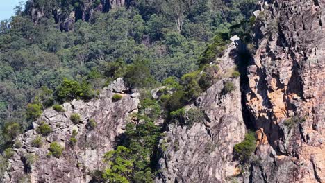 drone footage captures the rugged rhyolite volcanic plugs surrounded by lush eucalyptus forest under bright daylight