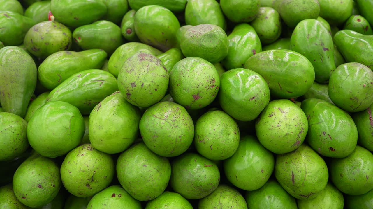 aguacates nativos frescos de colombia. tiro amplio