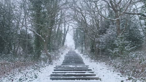 steps going up, on snowy winter weather, trees forming a tunnel over path, symmetry