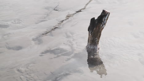 Toma-De-Primer-Plano-De-Un-Tocón-De-árbol-Muerto-Parado-En-Medio-De-Una-Piscina-Geotérmica-Cristalina,-Rodeada-De-Vapor-Y-Niebla