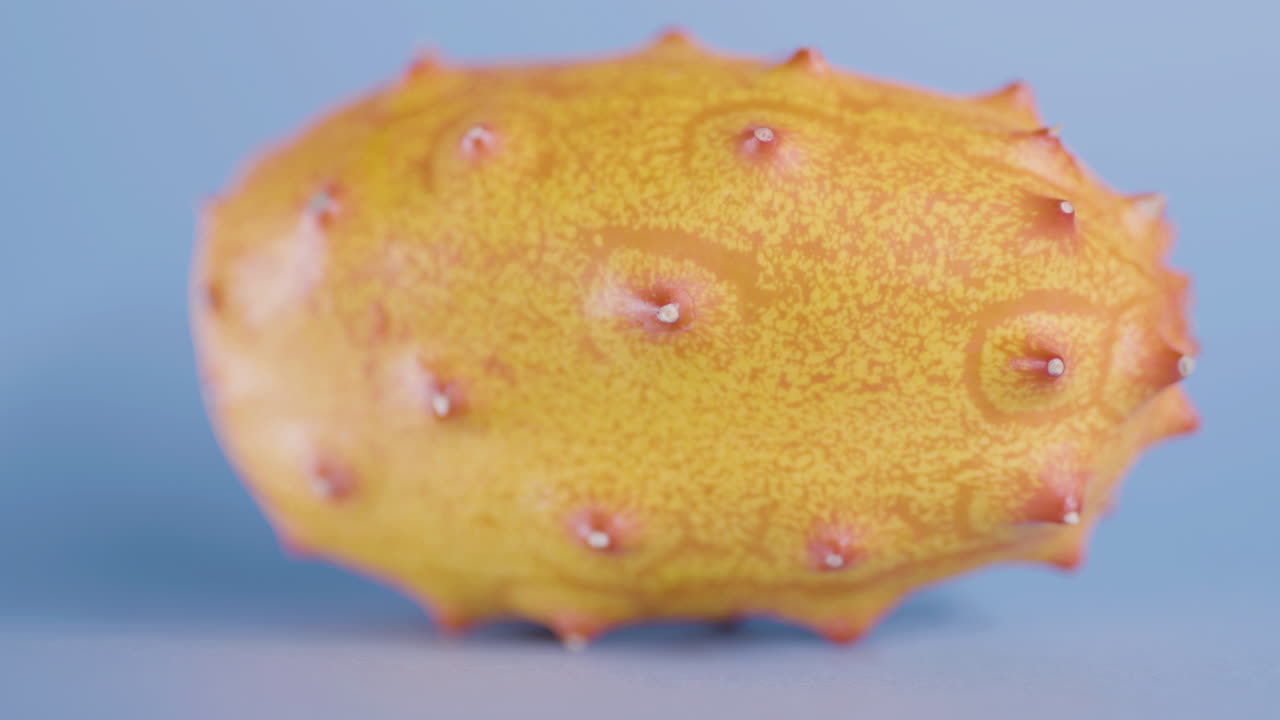 고립 된 파란색 배경 에 있는 익은 키와노 과일 의 매크로  ⁇