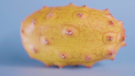 Macro-shot-of-ripe-kiwano-fruit-against-isolated-blue-background