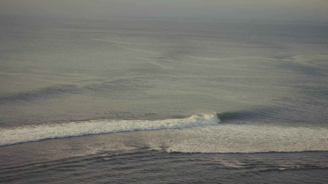 골든 아워 동안 발리의 빙긴 해변에서 파도를 타기 위해 애타게 기다리는 서퍼들, 새 한 마리가 샷을 통해 날아갑니다.