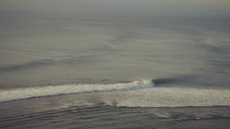 Surfers-wait-anxiously-to-catch-a-wave-at-Bingin-beach-in-Bali-during-the-golden-hour,-a-bird-flies-through-the-shot