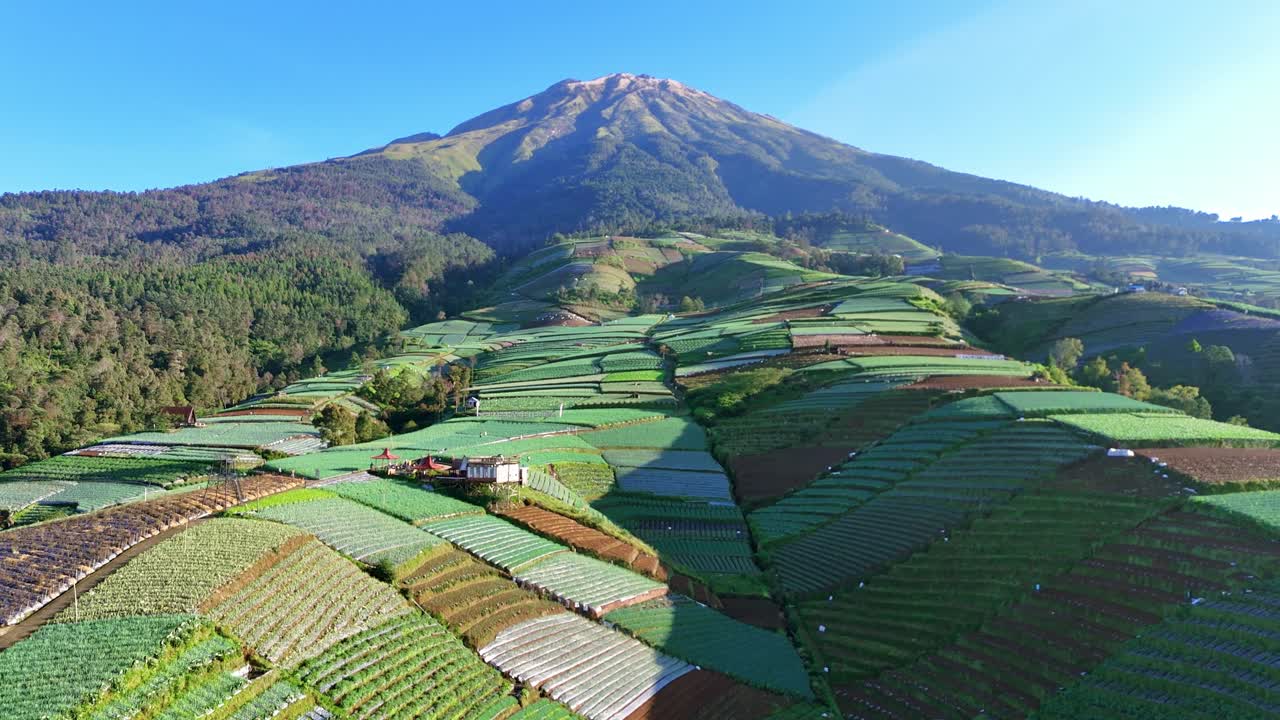 Majestic aerial scenery of Mount Sumbing surrounded by terraced vegetable plantations, forested hills, and rural farmlands in Central Java, Indonesia