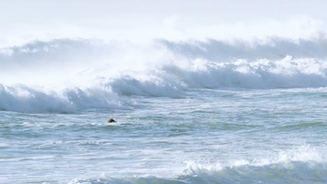 Surfistas-Surfeando-En-El-Mar