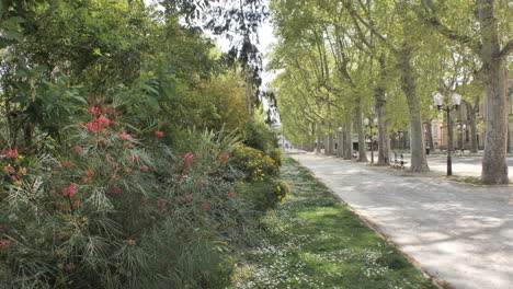 montpellier public garden with path along vegetation blooming france