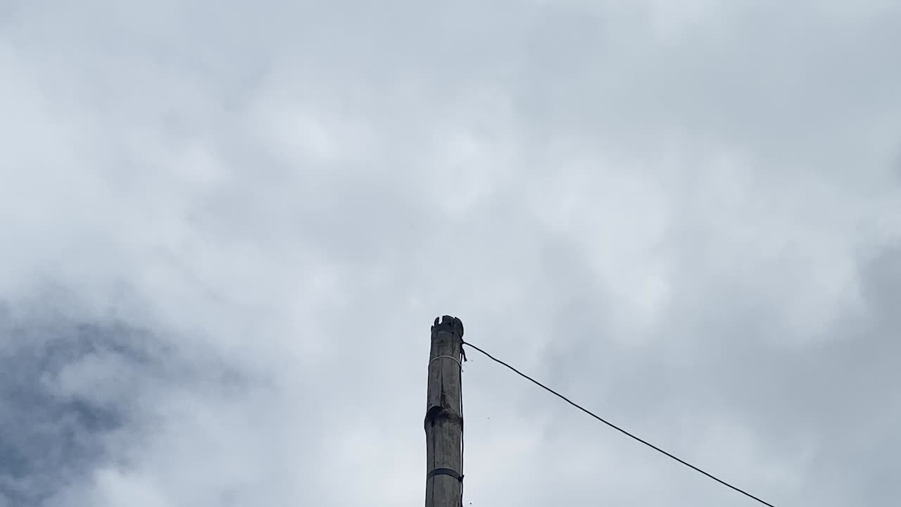 vista de ángulo bajo del poste eléctrico de bambú con pájaros voladores, día nublado nublado