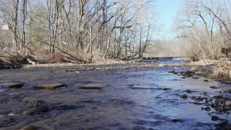 creek in a wooded area