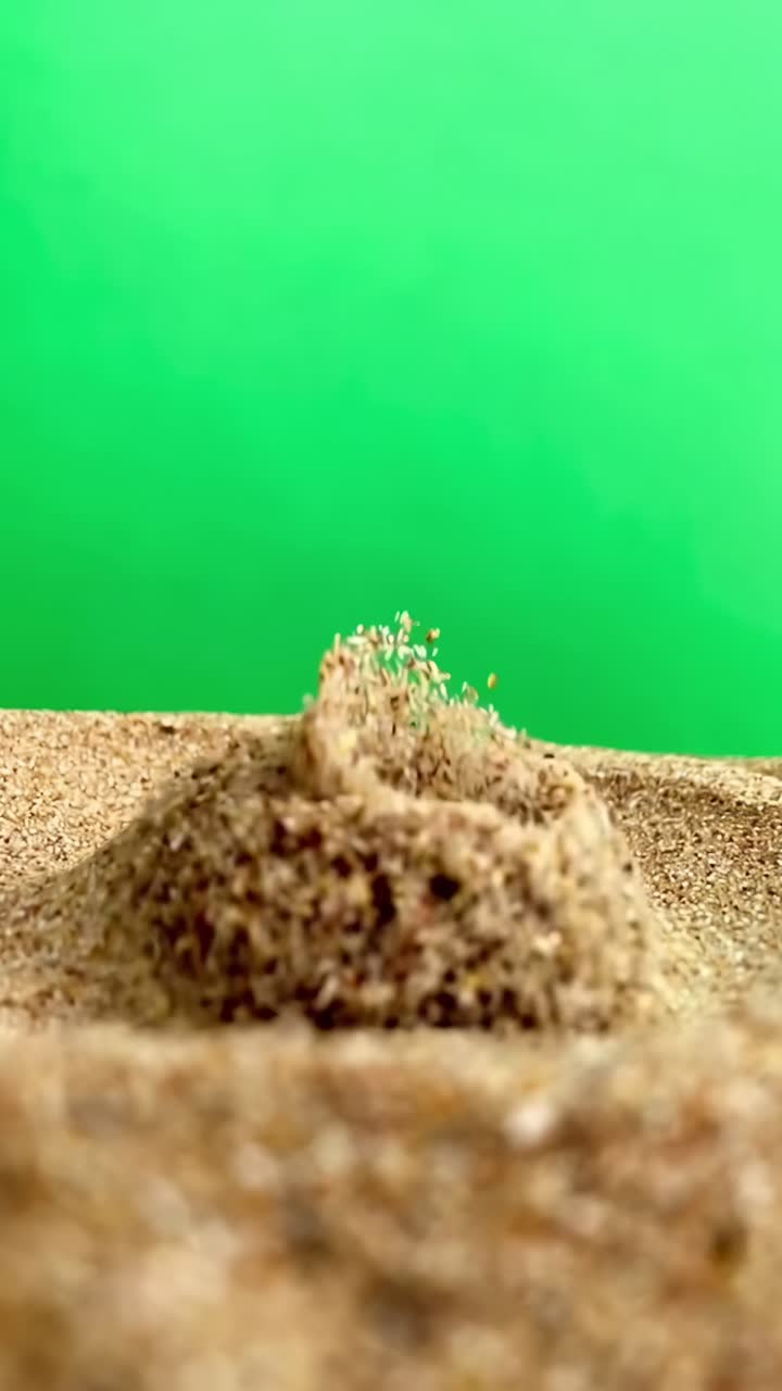 Video ravvicinato di un cumulo di sabbia su uno sfondo verde vibrante, ripreso da un'angolazione bassa